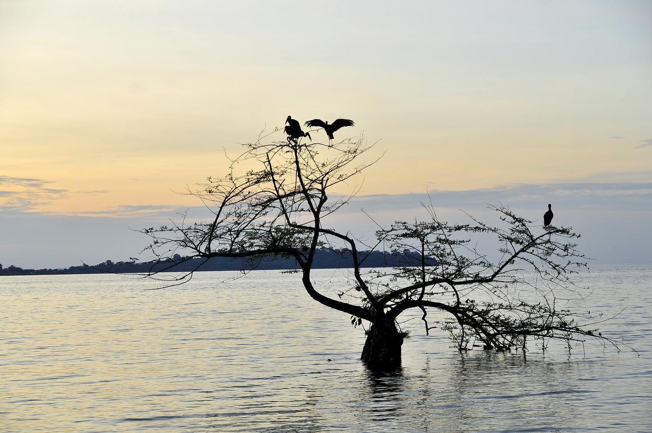 Brovad Sands Lodge Kalangala Bagian luar foto